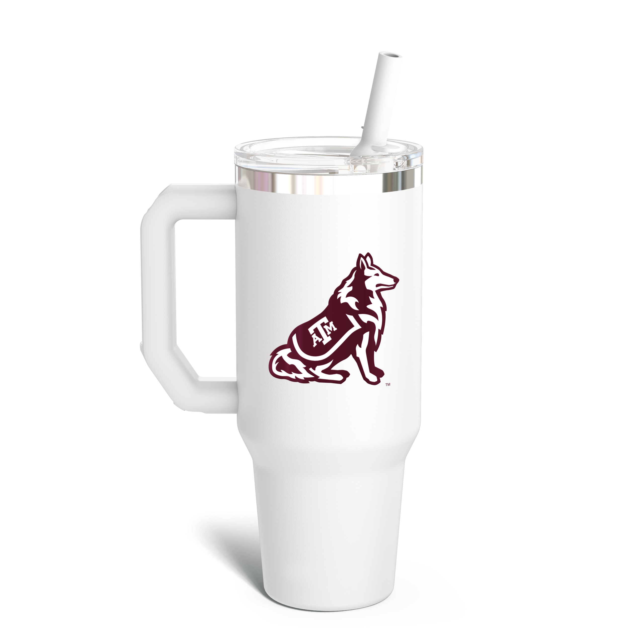Texas_a_m_Aggies_back-scaled-1.png